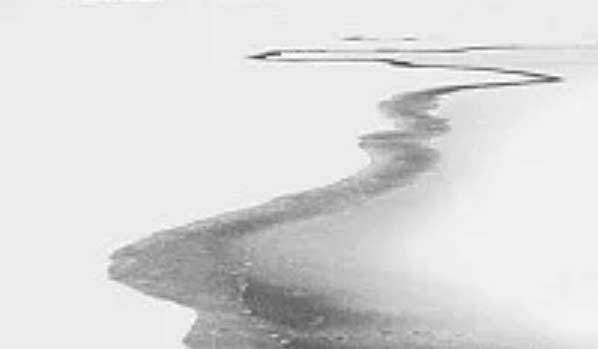 1970年属狗2026年运势完整版 1970年属狗2026年全年运势