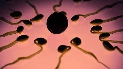 别忽视！男性精子质量下降的潜在病因