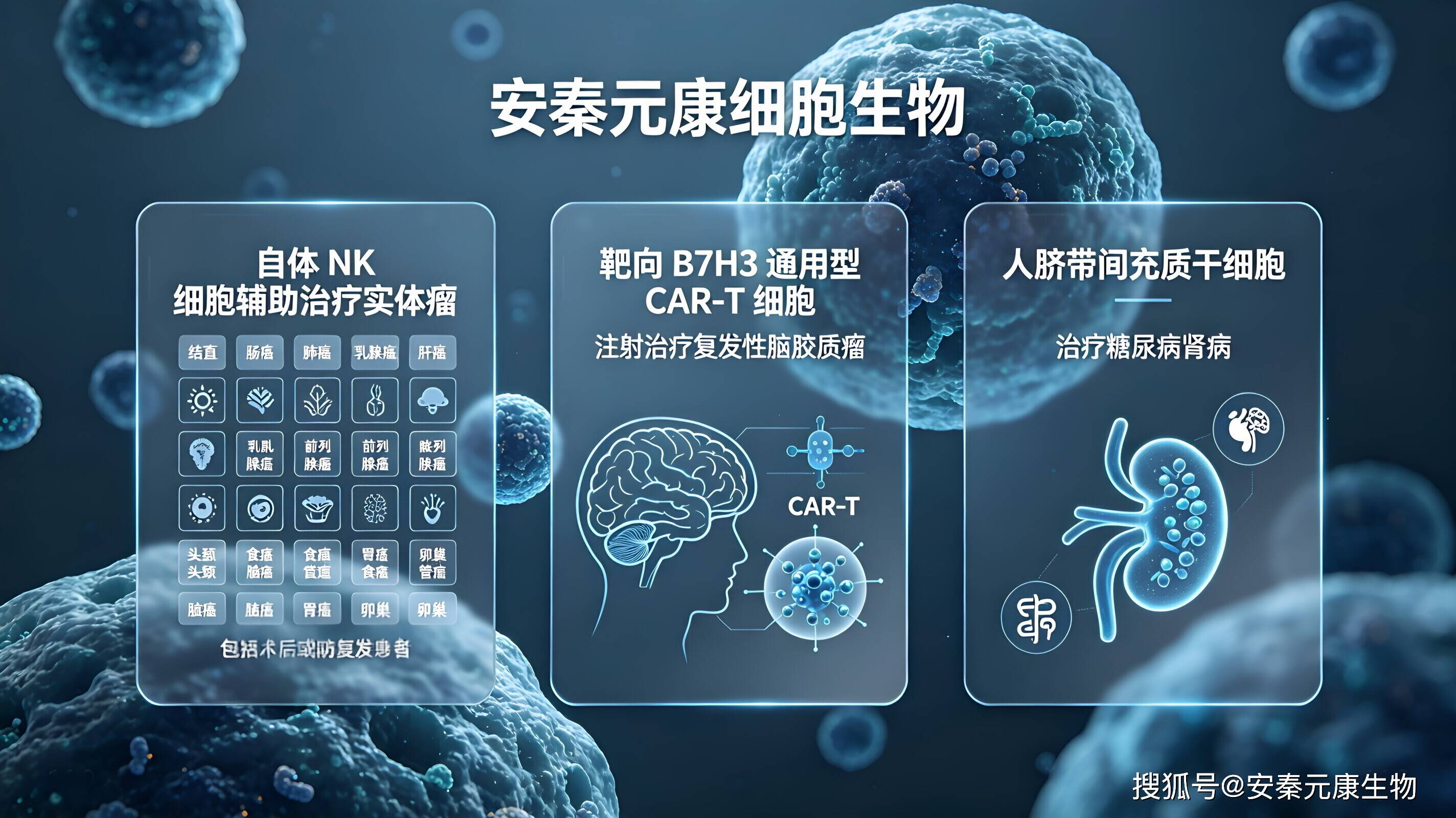 北戴河干细胞疗法费用大概多少，影响干细胞价格的因素有哪些？
