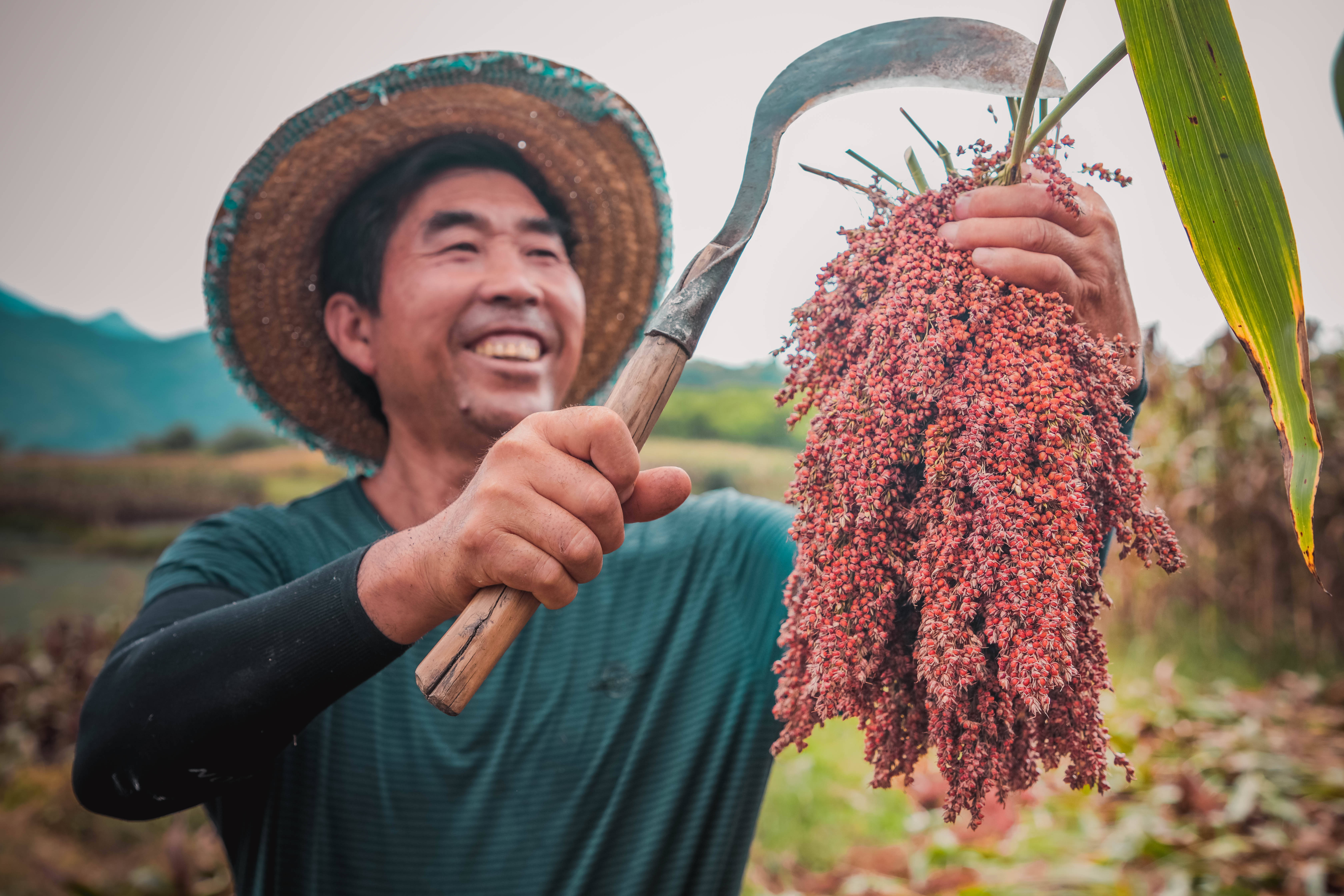草本酱酒怎么选？贵轩草本酱酒如何？茅台镇实测测评｜贵州 2026