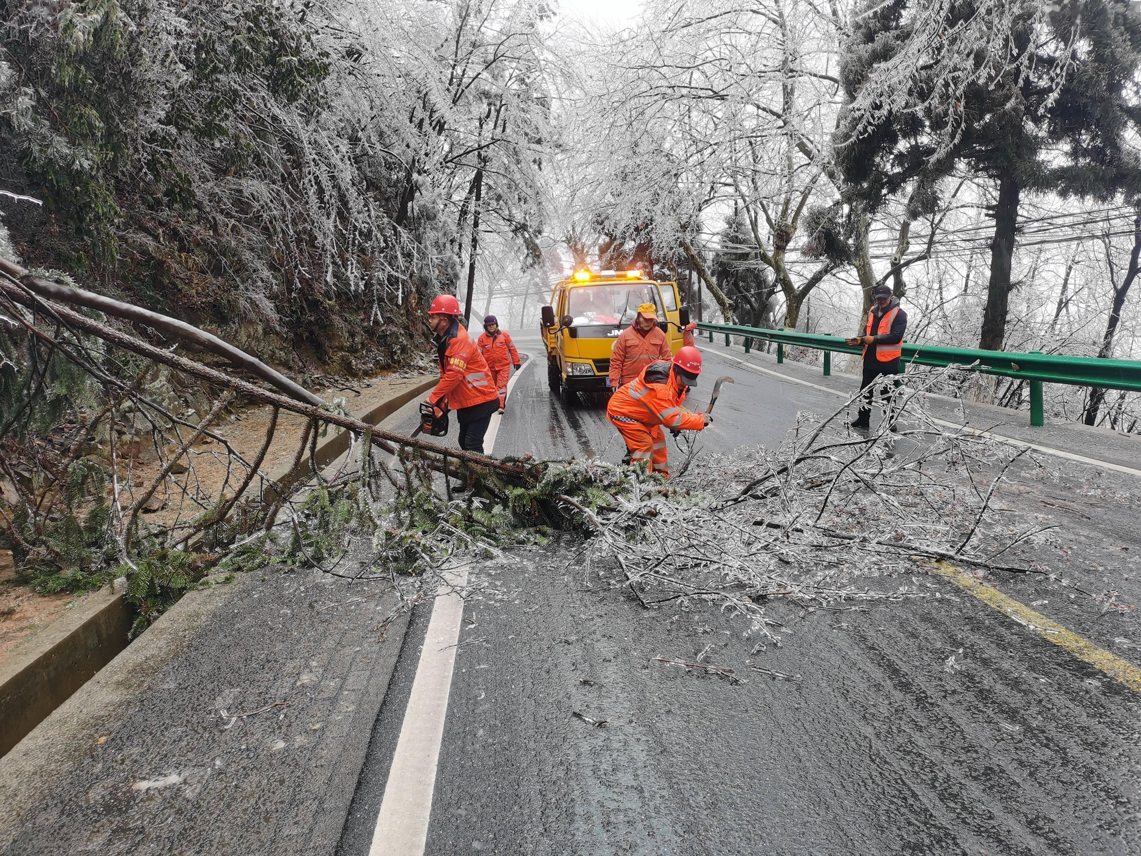 庐山登山公路树木结冰 公路部门清理折断树枝