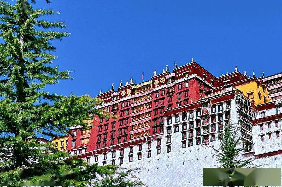【志愿填报】了解学科分层，明确升学规划(图1)