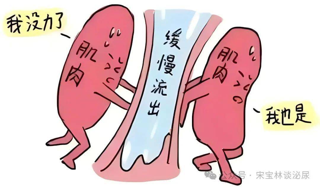 医讯 | 嘉兴市中医医院尿频及排尿功能障碍门诊开诊！