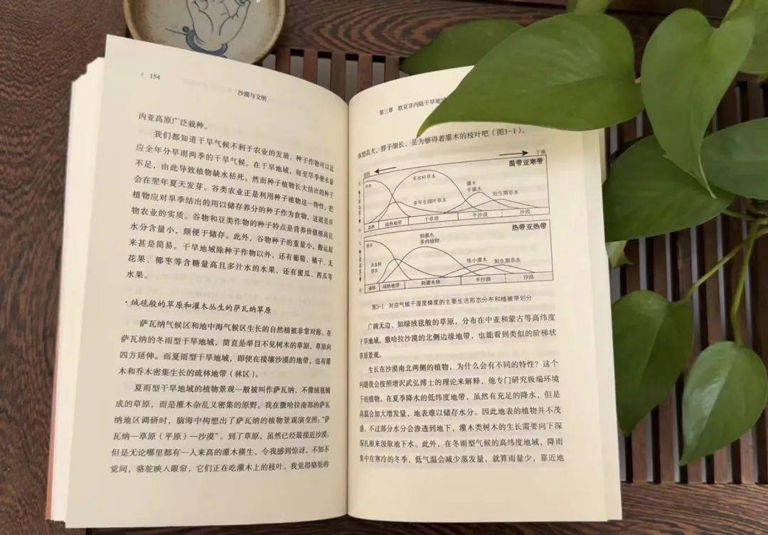 极目新闻:澳门彩资料大全最新最快-浙江宁波的滨海古村，有近700年的历史，渔乡风情浓郁，景色宜人