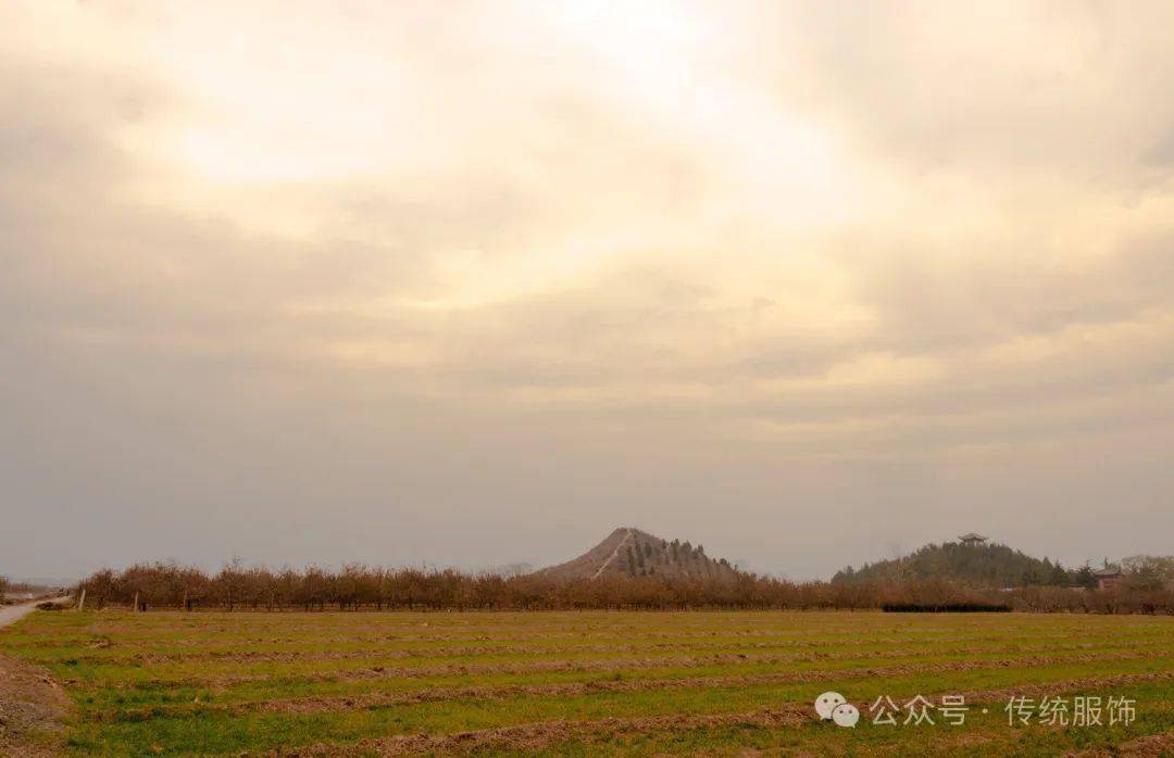 证券时报网 :澳门六开奖结果查询最新-【历史文化】历史大潮中的黄埔军校||王刚  第1张