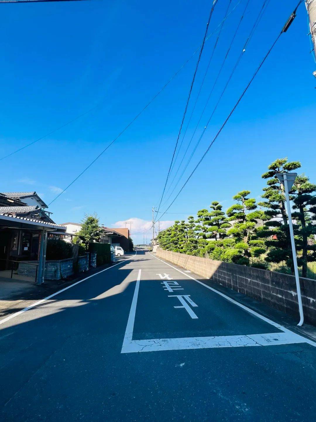 “雄安车站”的亚洲之最，和大阪“一个人的车站”