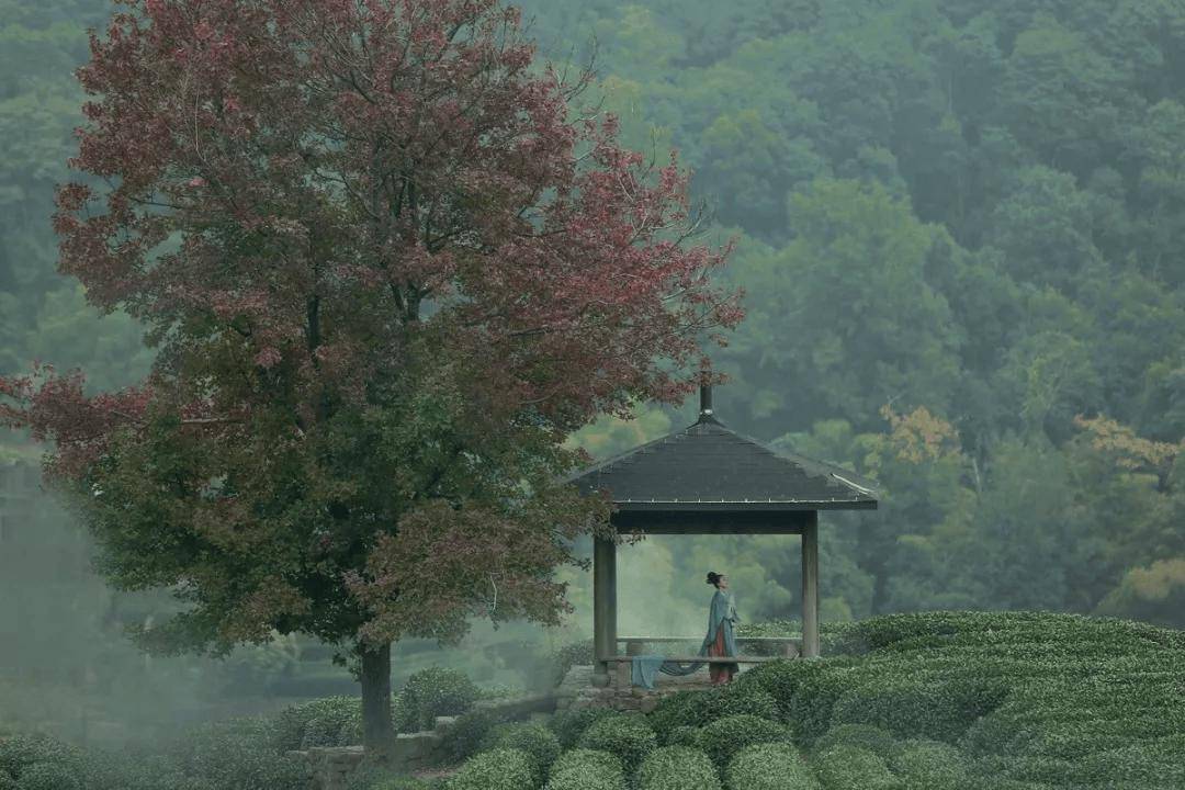 养生在于养精神——《菜根谭》养生之道