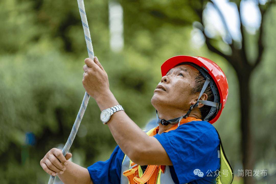 🌸人民论坛网 【2024正版资料大全免费】_争夺中国第五直辖市，这3座城市希望最大，你认为最终谁会当选？