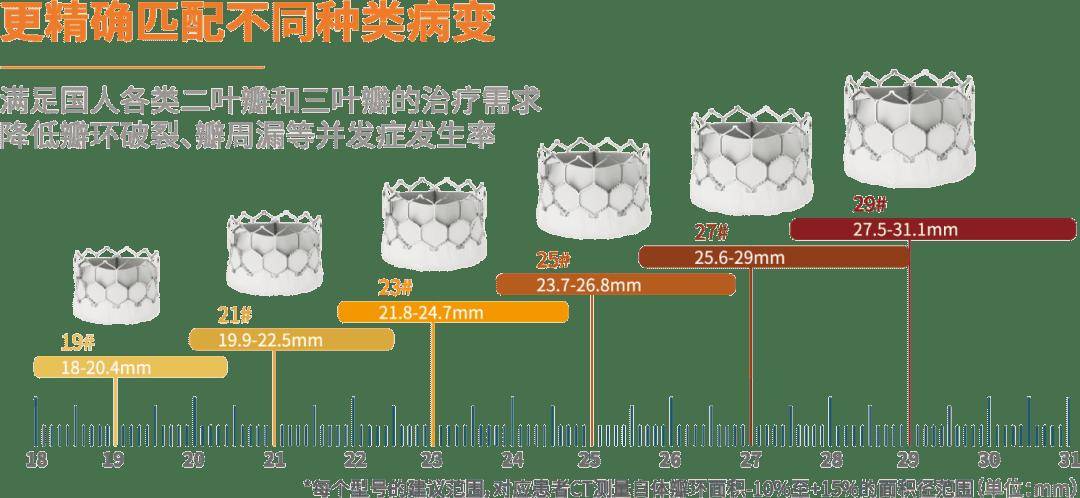 精易球全，再扩心生——佰仁医疗Renatus经导管主动脉瓣系统获批上市(图2)