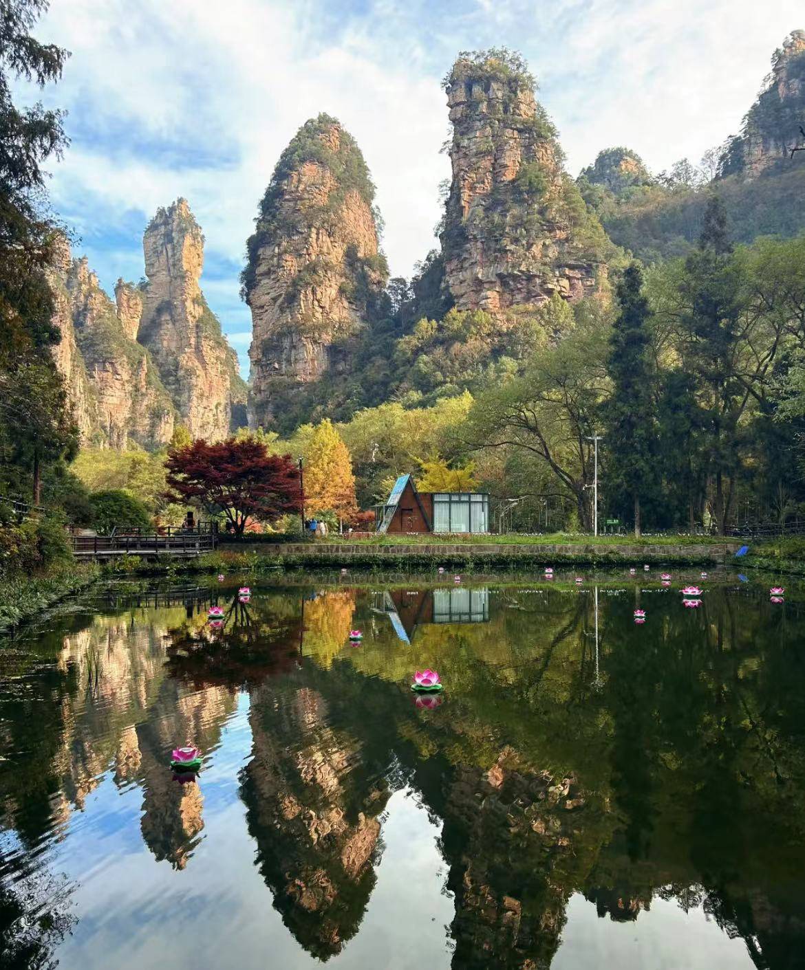 张家界旅游的热门景点排名榜，看看哪些景点最受欢迎！