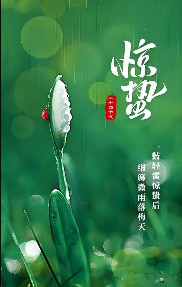 惊蛰，阳气生发最关键的15天，常吃这4种食物，补足体内阳气