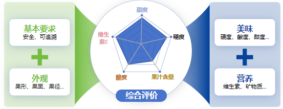 行业前沿 水果质量分级服务让“好吃”看得见华体会下载