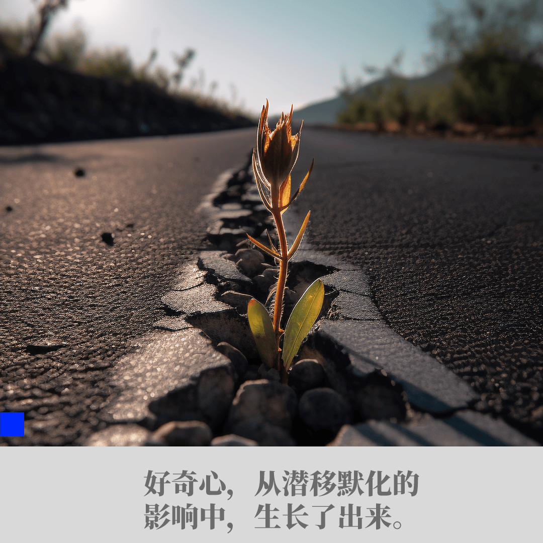 ios小火箭账号购买安全吗