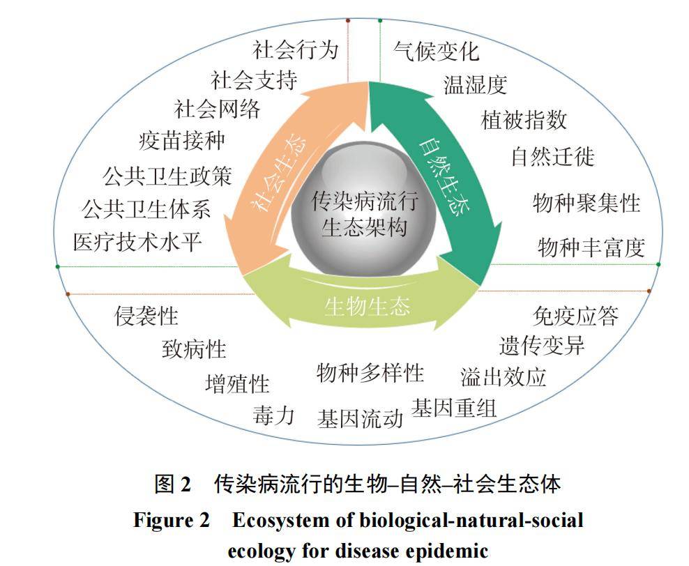 新冠没有消失，也不会消失