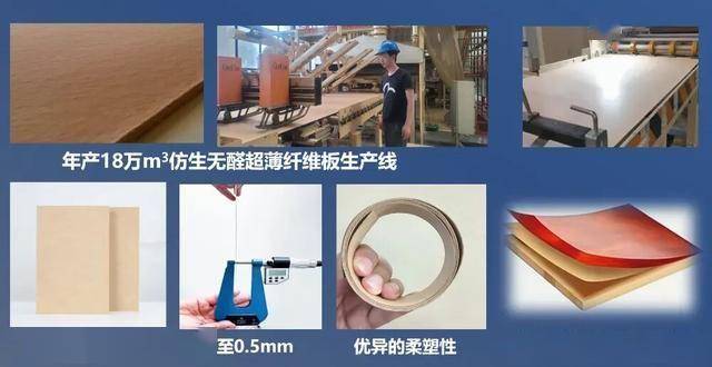 “无醛不成胶”？科学家有了新突破！