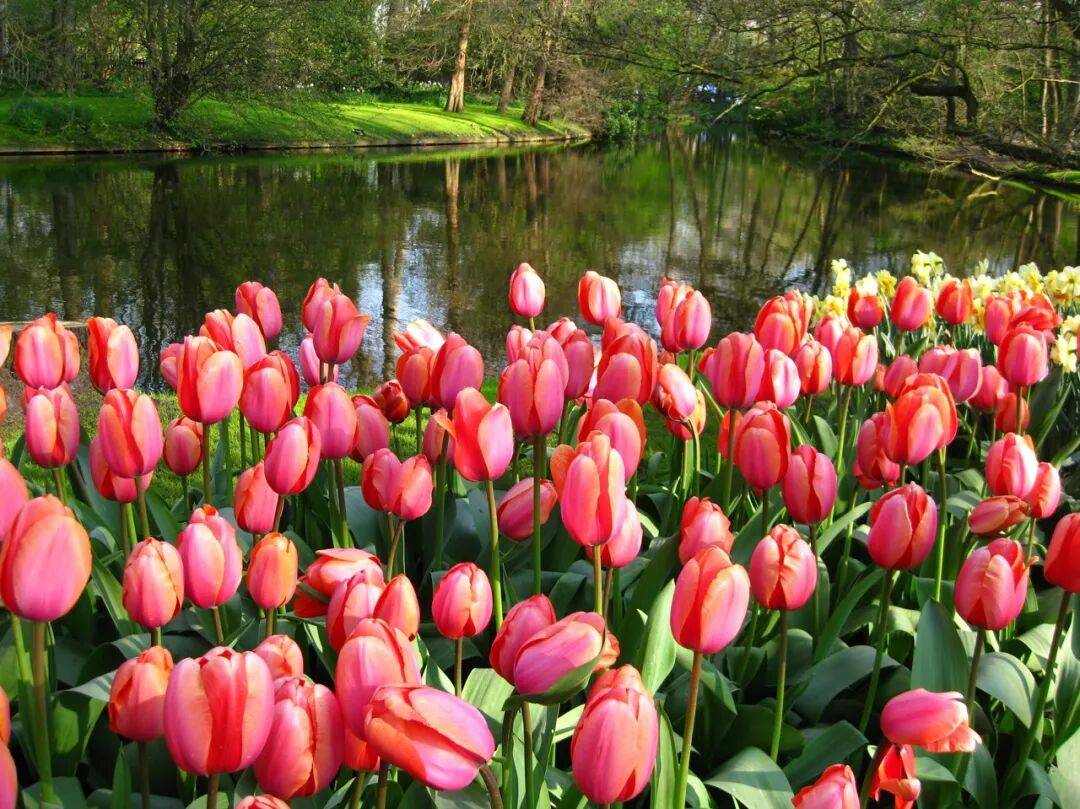 龙的巴黎我们的私藏路线来了开元ky棋牌去不待见马克(图18)