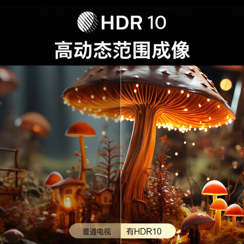 开启智能家庭娱乐新体验——飞利浦50英寸4K超高清电视机