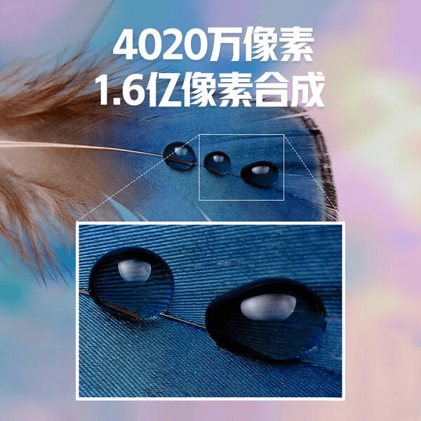 尊龙凯时 - 人生就是搏!|花蝶直播浪花直播蝶恋花直播|2025年微单相机推荐：