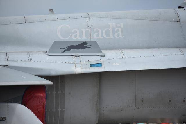 从弃子到全能王：麦道F/A-18“大黄蜂”的逆袭之路