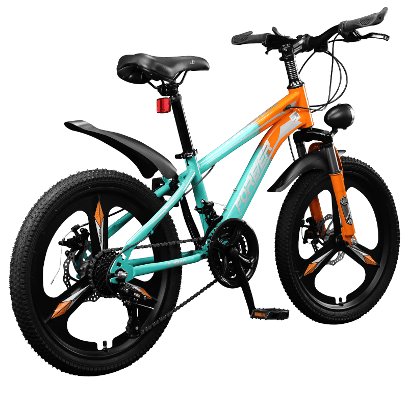 探秘FOREVER与凤凰自行车:青少年与成人越野单车的真实体验(图1)