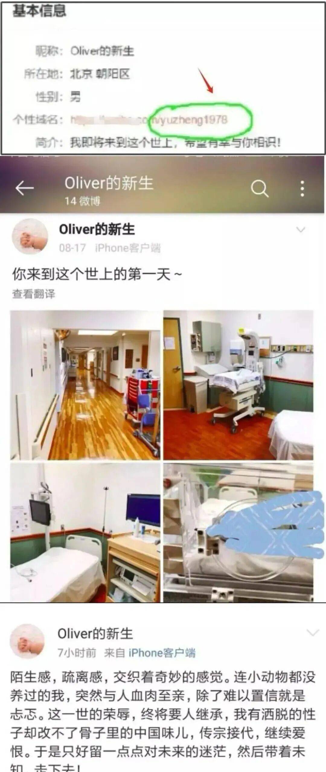 杨紫拿视后有争议？白鹿和于正互相拿捏？D女星婚内出轨丑男？-第7张图片-
