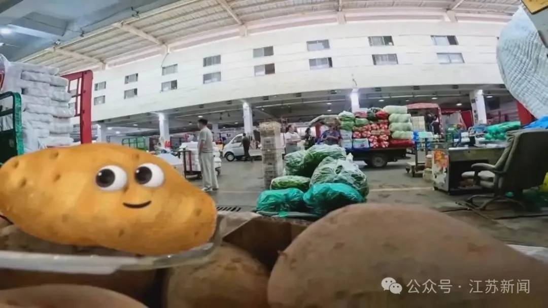 土豆白菜征战“苏超”？
