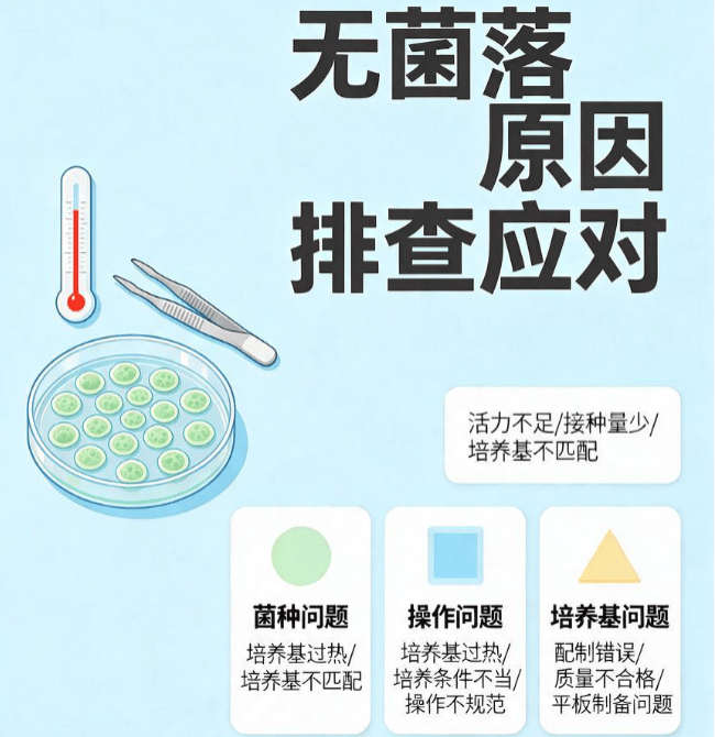 微生物无菌检验员培训食品化妆品化验员资格证指引-菌落总数检测"无菌落"原因排查与应对攻略