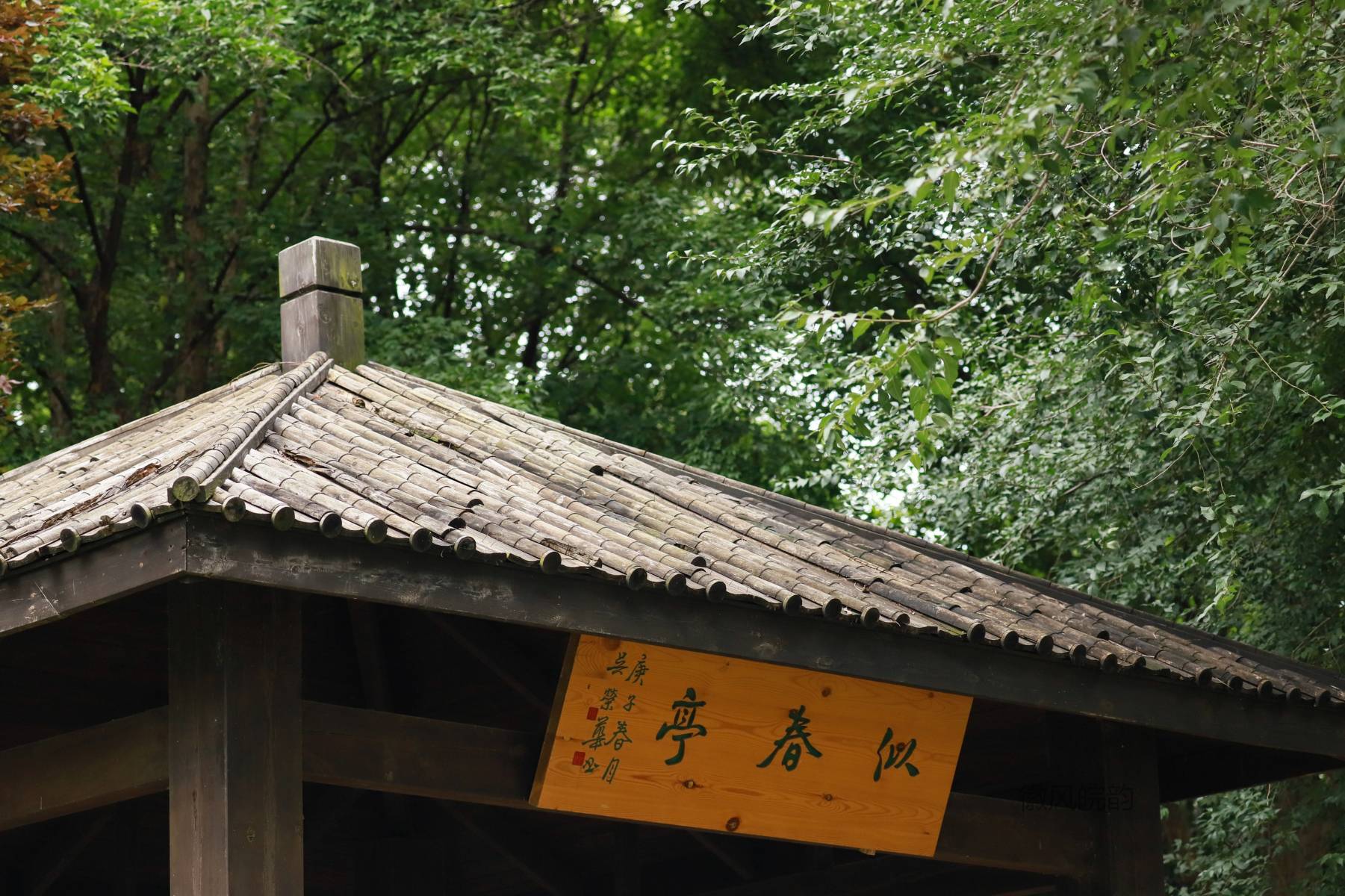 随拍合肥南艳湖公园