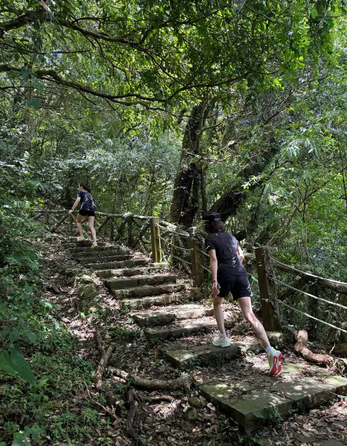 搜狐娱乐讯 7月29日,刘嘉玲晒出一组与好友登山的照片,她穿着一身运动