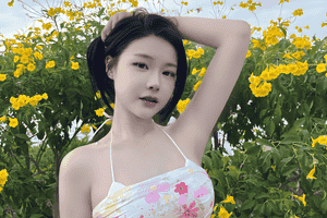 杰理科技IPO屡战屡败：曾涉侵权多次被起诉 