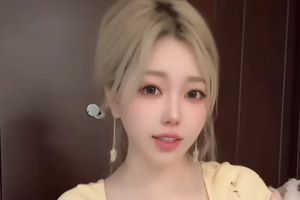 陕西米脂被爆高标准农田水渠"形