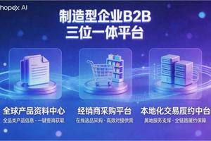 5000字复盘制造企业出海的“全球化B2B电商平台”完整建设方案：深度需求解构与多国多...-图片