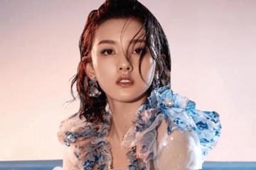 网络主播余洋、田小龙、金茜茜：因偷税被罚超3