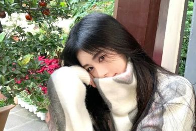 得利斯因虚假投标被暂停全军采购：此前子公司已