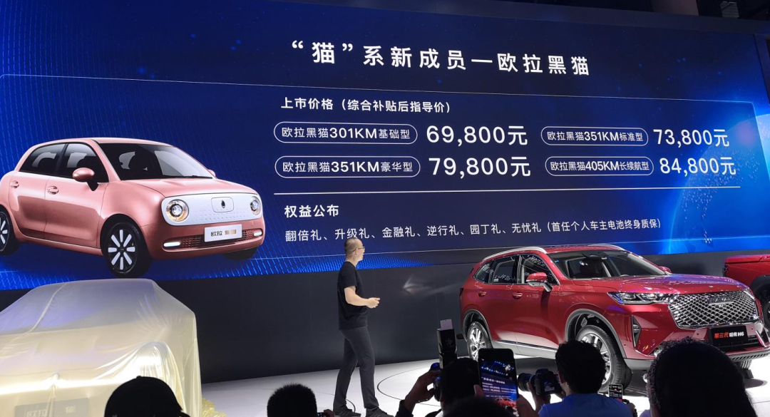 至高3万元,欧拉"降价"促销