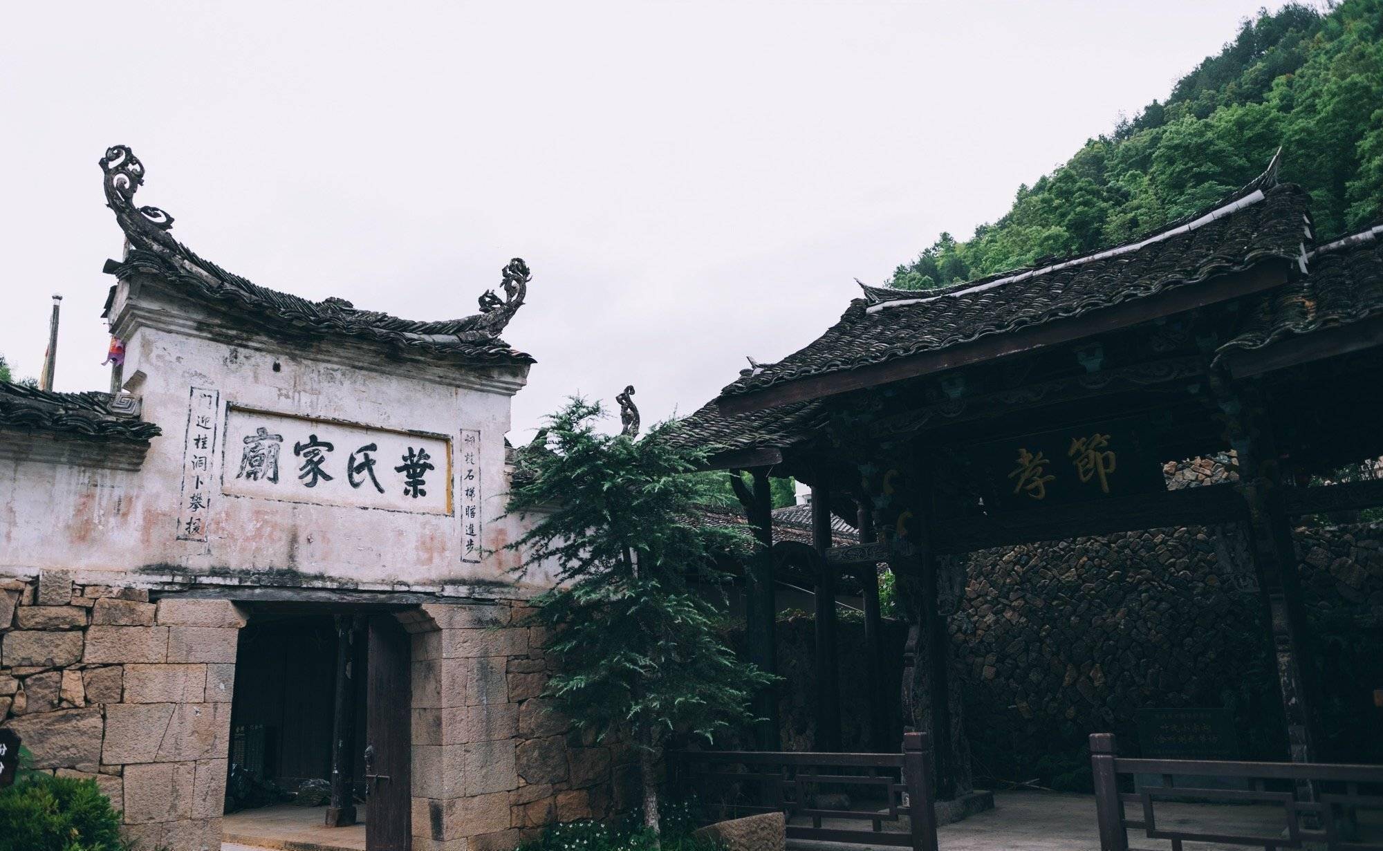 让川村,藏在文成山水间的"世外桃源",长桌宴深受大家的喜爱_畲族_宴会