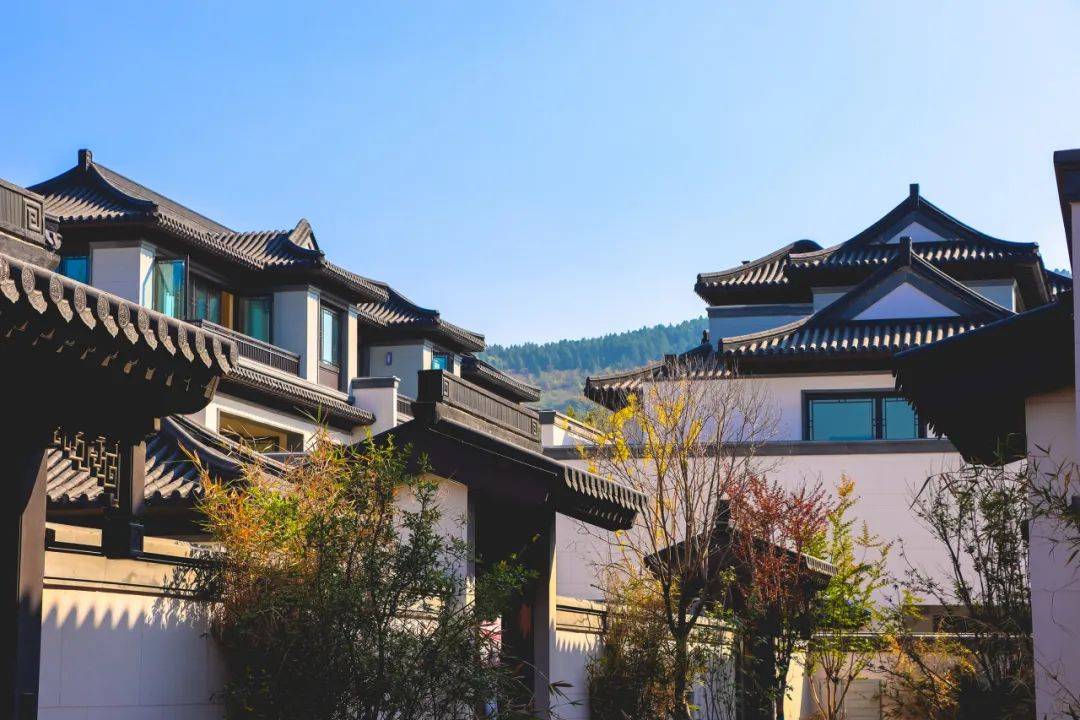 济宁曲阜尼山耕读书院项目一期温学坊圆满交付_文化_业主_内容