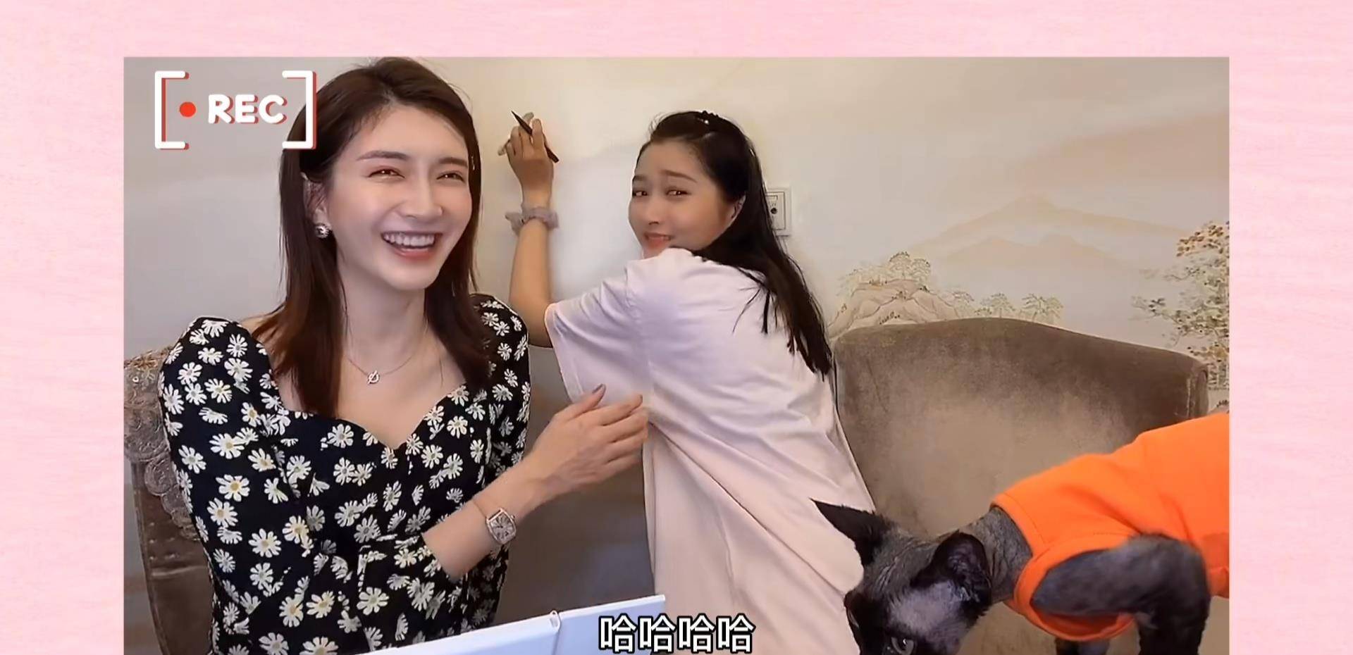 关晓彤背包成爱宠座驾,宠溺发文:它不爱自己走.