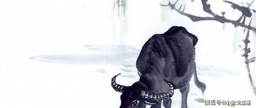 切成躲懒，自力更生。洞在清溪何处边猜一生肖,信息解析与普及