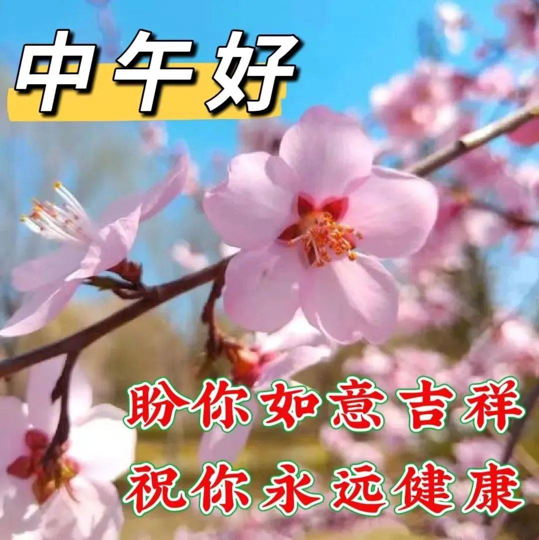 2024年1月8日周一早上好,最新早安温馨祝福图片带字问候语录_朋友