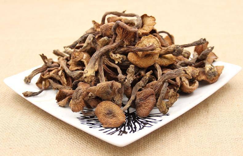 榛蘑具有润肺化痰,止咳平喘的功效,对于呼吸道疾病有一定的缓解作用.