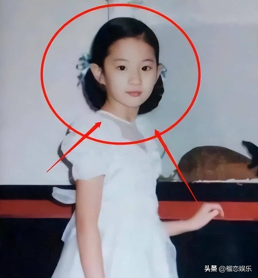 17年后再看刘晓莉,为刘亦菲放弃事业婚姻,她的人生是成功的吗?