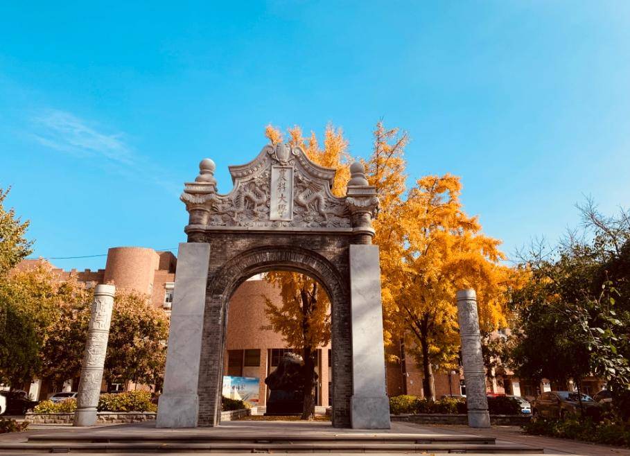 城市大学排行_2024上海市大学排名更新,上财挺进前五,华政排名第10