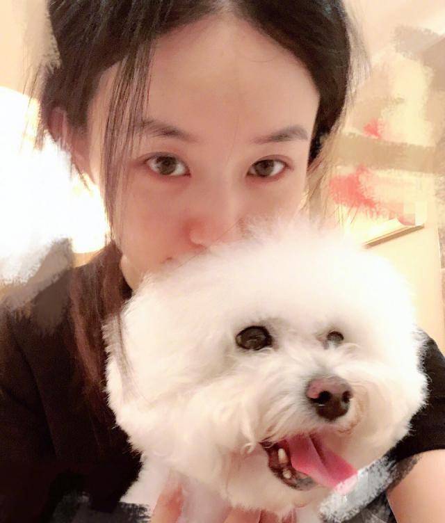 否认闪婚劈叉马赛克,赵丽颖由一个小花演变成心机女?_网友_照片_颖宝