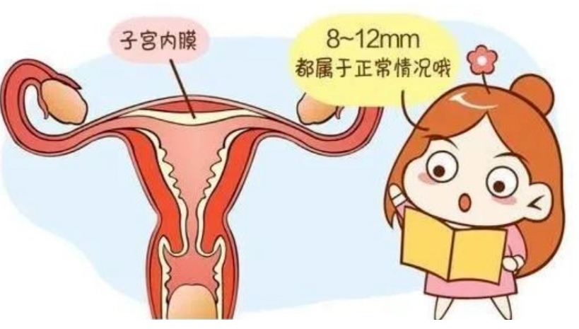 子宮內膜薄懷孕了能保住嗎?_女性_卵巢_營養