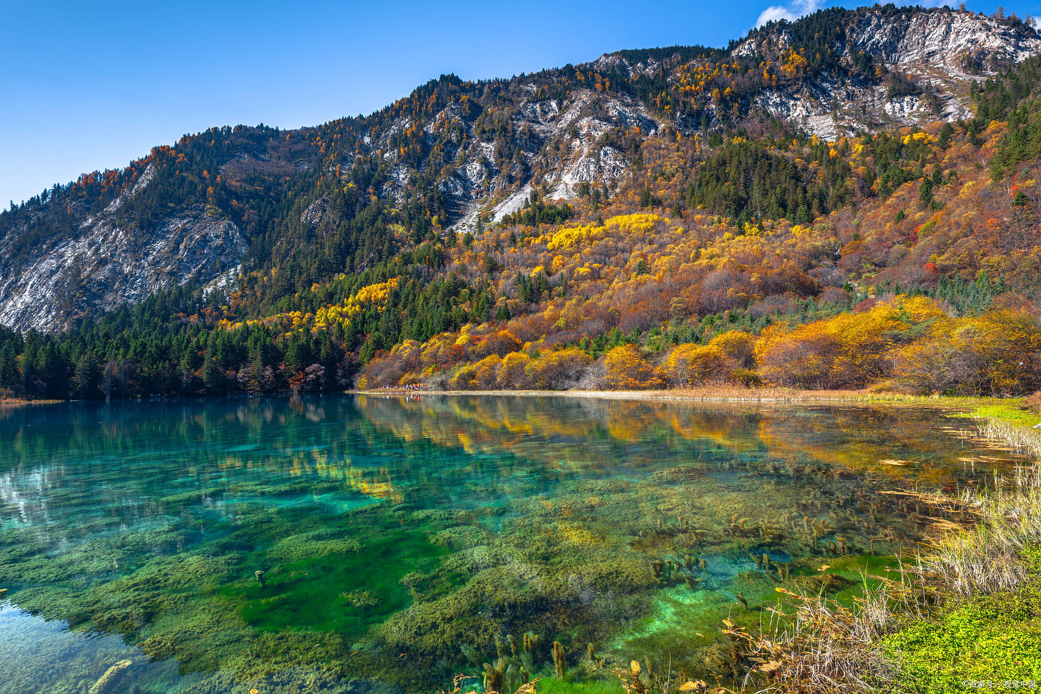 四川康定适合老人旅游的地方有哪些,康定参团四天多少钱划算_丹丹