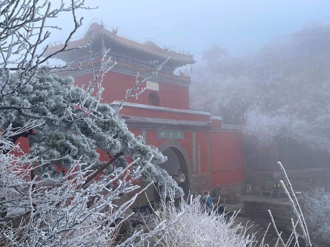 天上宮闕 琉璃世界——2024年首場泰山霧凇震撼登場_九霄雲外_此時