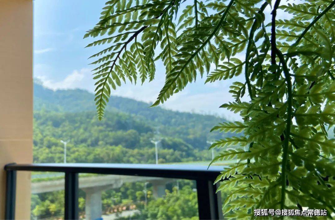 其中包括大尖山露营公园,金钟湖公园,翠丽湖,树木园,逍遥谷等深受中山