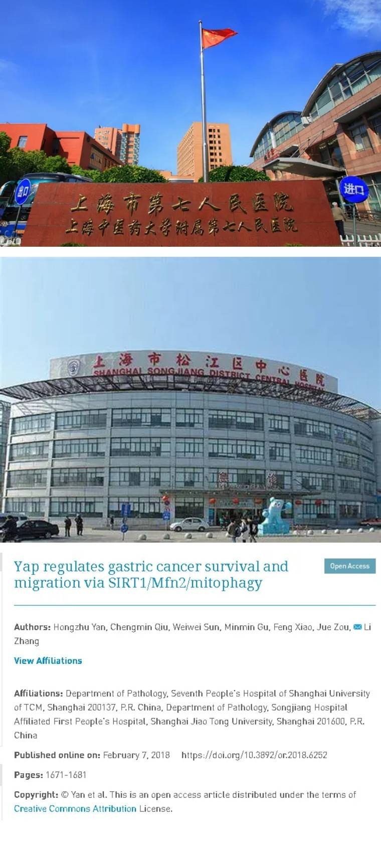 上海市松江区中心医院发表的论文因图片重复被关注_reports_yap_全网