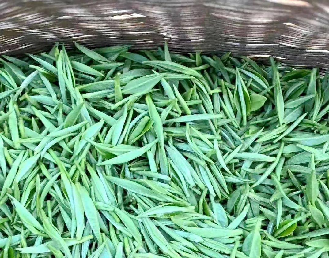 泾县的茶品种丰富,有汀溪兰香,绿环兰香,涌溪火青,大兰坑兰溪,爱民